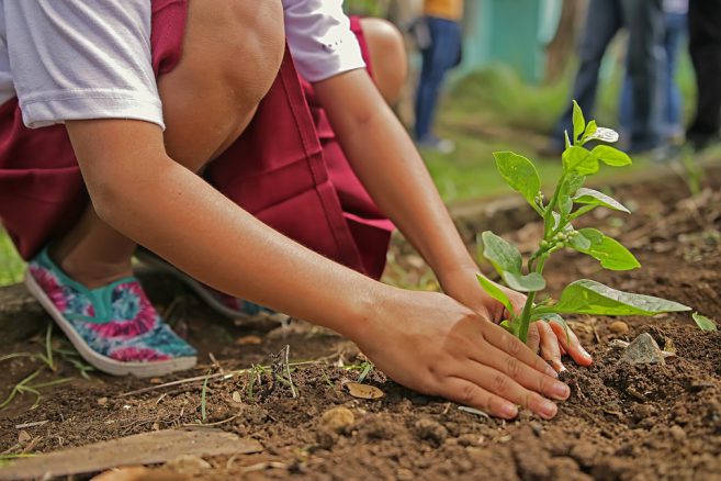 Organizzare uno spazio giardinaggio a misura di bambino: ecco come fare.